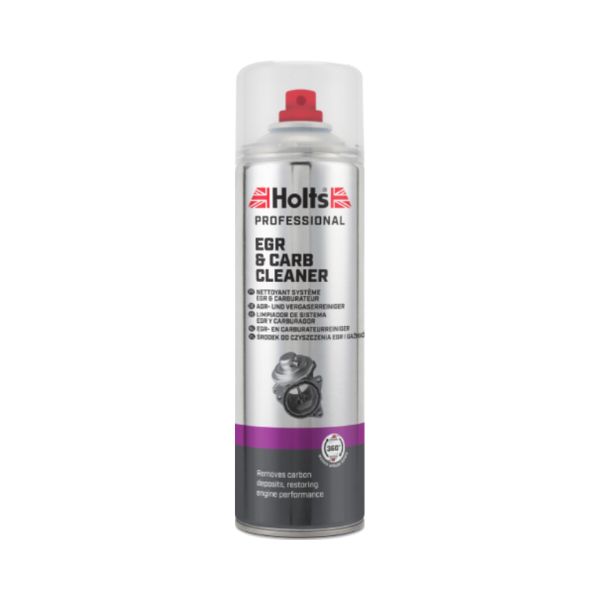 HMTN0201A-1 HOLTS EGR & CARB CLEANER - Image 1
